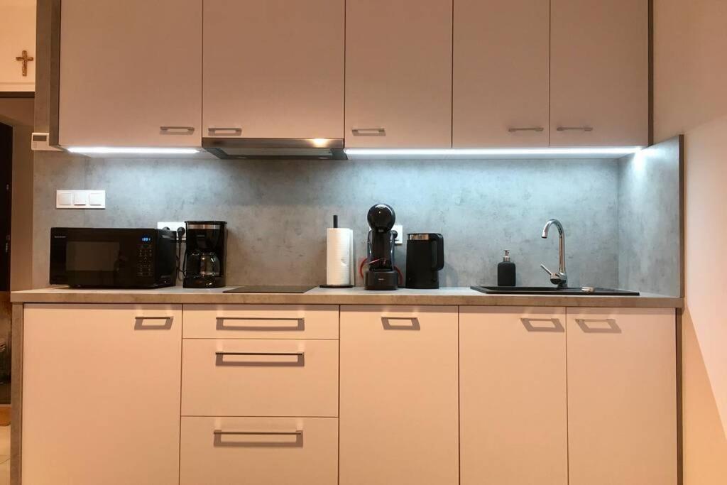 Apartament Fibra Brownie Rybnik  Kültér fotó